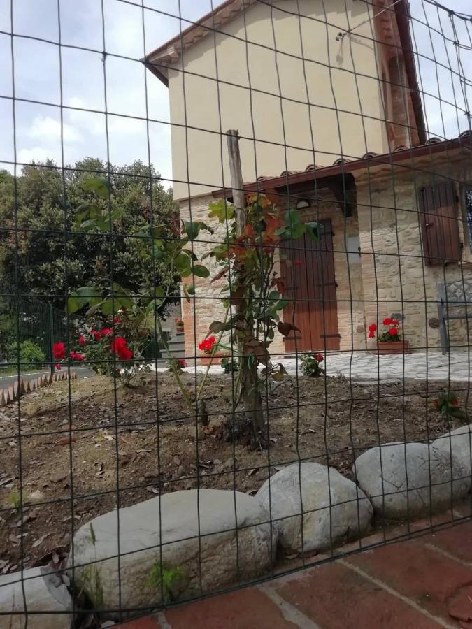 La Casetta Della Letizia Colle  Bagian luar foto